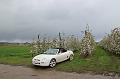 MG Bloesemrit op 24-4-2016 org. Jos&Marie-lou  (278)